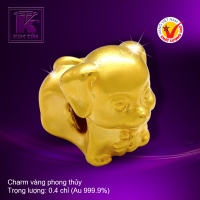 Charm vàng phong thủy