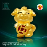 Charm vàng phong thủy