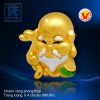 Charm vàng phong thủy