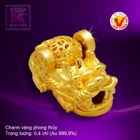 Charm vàng phong thủy