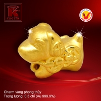 Charm vàng phong thủy