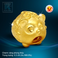 Charm vàng phong thủy