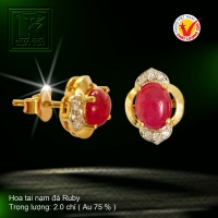 Hoa tai nạm đá Ruby