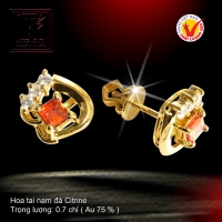 Hoa tai nạm đá Citrine