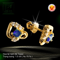 Hoa tai nạm đá Topaz