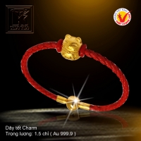 Dây tết Charm