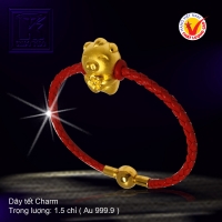 Dây tết Charm