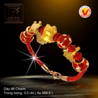 Dây tết Charm