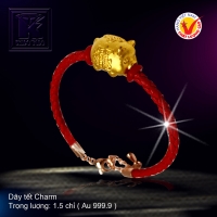 Dây tết Charm