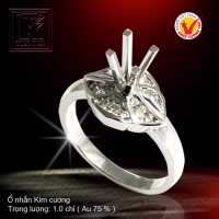 Nhẫn nữ vàng trắng 18K