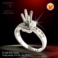 Nhẫn nữ vàng trắng 18K